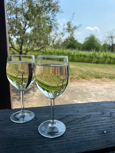 Zengő Vendégház Borgáta - kép 13