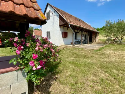 Zengő Vendégház Borgáta - kép 14