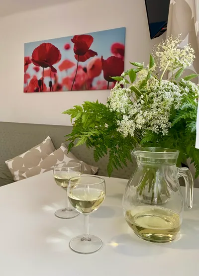 Zenit Vendégház Borgáta - kép 13