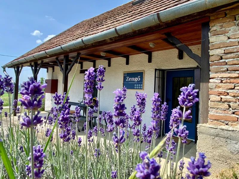 Zengő Vendégház Borgáta - környék